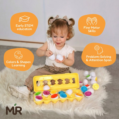 Montessori Geometric Eggs