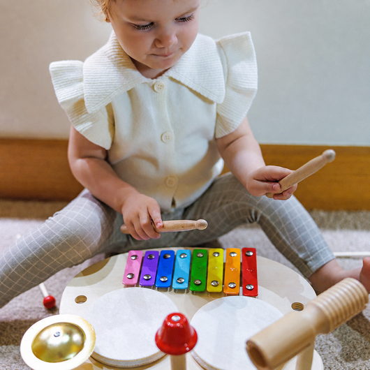 Montessori Percussion Set