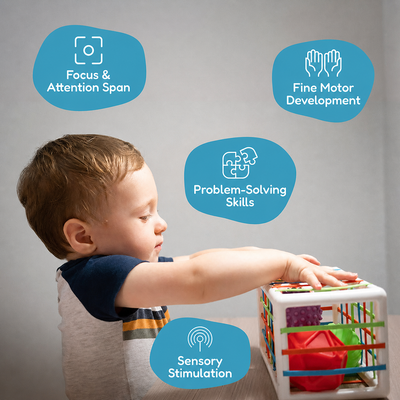 Montessori Shape Blocks