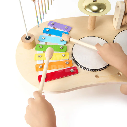 Montessori Music Set