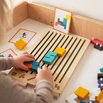 Montessori Brain Blocks