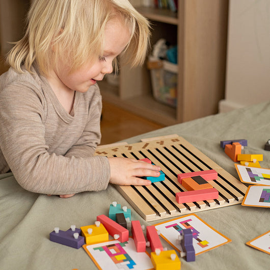 Montessori Brain Blocks