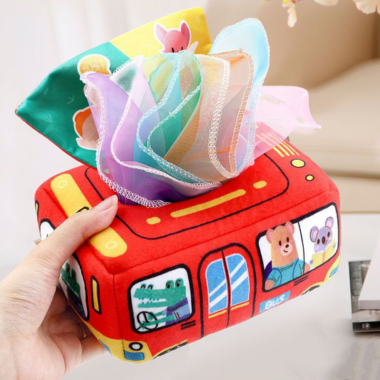 Montessori Tissue Box