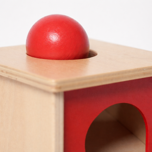 Montessori Object Permanence Box