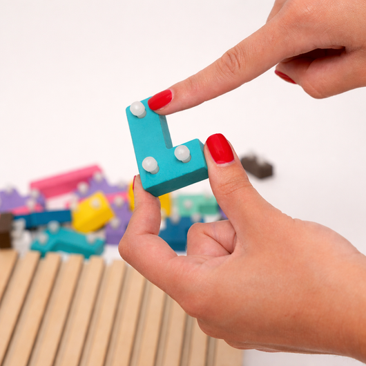 Montessori Brain Blocks