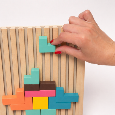 Montessori Brain Blocks