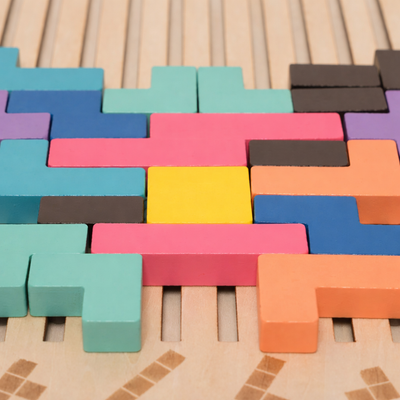 Montessori Brain Blocks