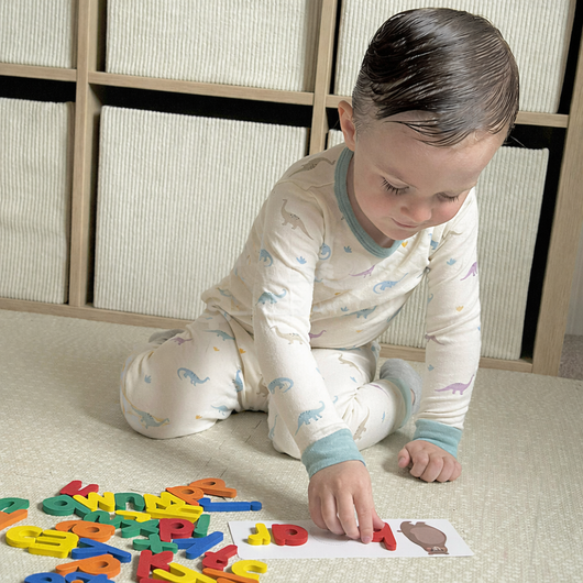 Montessori Wooden Spelling Game