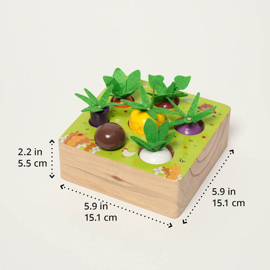 Montessori Vegetable Set