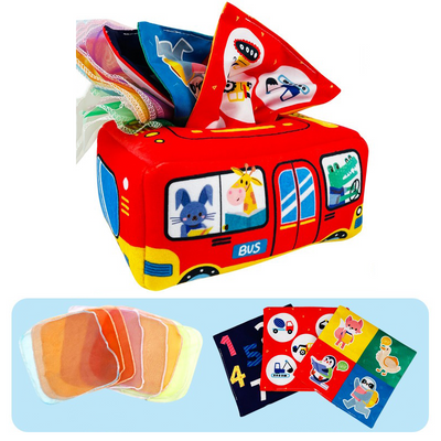Montessori Tissue Box