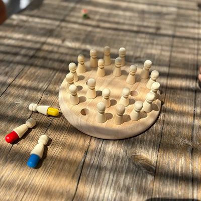 Montessori Memory Game