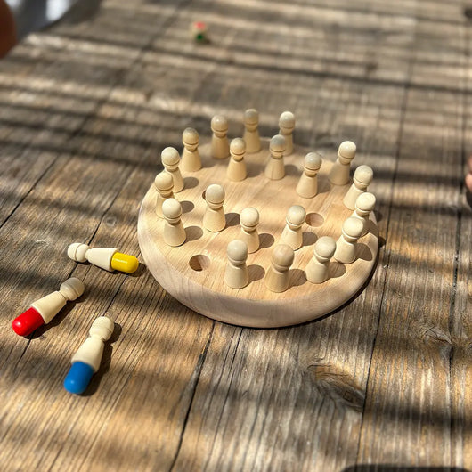 Montessori Memory Game